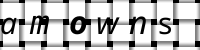 CAPTCHA 그림