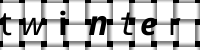 CAPTCHA 그림